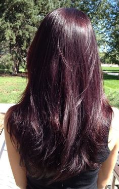 True Violet Hair Color Loreal Hicolor, Ref Hair Color Red, Purple Hair Color On Black Hair, Plum Berry Hair, Deep Plum Red Hair Color, Wine Purple Hair Color, Cherry Coke Red Hair Color Burgundy Purple, Black Hair Colours, Violet Cherry Hair