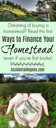 What to do when you want to buy a homestead, even if you're flat broke #homesteading #personalfinance Homestead Ideas, Home Buying Process, Home Buying Tips