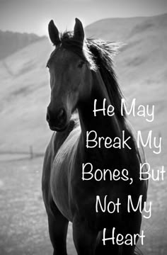 a black and white photo of a horse with the words he may break my bones, but not my heart