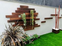 some plants are growing on the side of a white wall with wooden planks in it