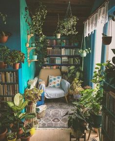 a room filled with lots of potted plants and bookshelves next to a couch