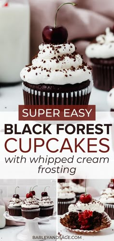 black forest cupcakes with whipped cream frosting