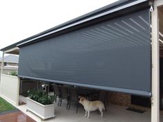 a white dog standing under an awning next to a table and chairs