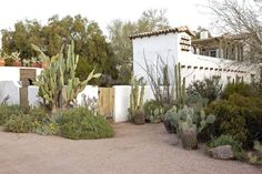 a cactus garden in front of a white house