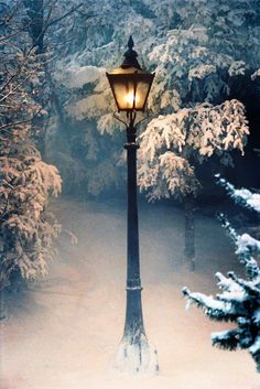 a lamp post in the middle of a snow covered park with trees and bushes behind it