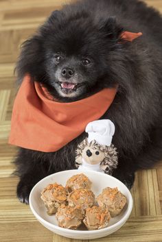 a small black dog sitting next to a bowl of food