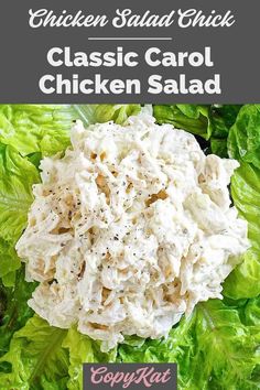 chicken salad with lettuce and cheese on top