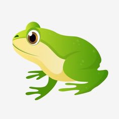 a green frog sitting on top of a white surface