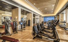 a gym with rows of exercise machines and treadmills