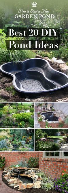 the best 20 diy pond ideas for garden design and landscaping, with pictures of various plants