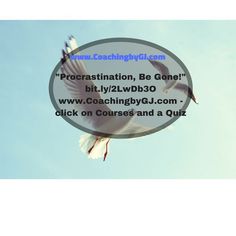 a white bird flying in the sky with a speech bubble above it that says, procrastination, be gone bit ly / ly / lvb / d / bd / bb03803o click