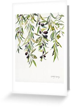 an olive tree branch with green leaves and black olives hanging from it's branches