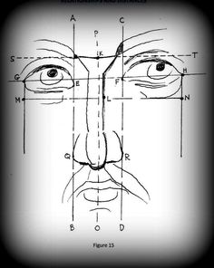 a drawing of a face with the lines drawn out to make it look like an individual's face