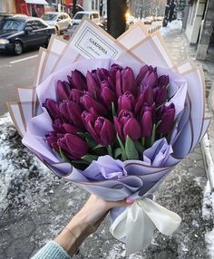 a person holding a bouquet of purple tulips