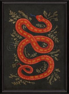 Spicher & Company BC The Protector Snake on black 11972 Snake Painting, Snake Illustration, Snake Art, Year Of The Snake, Spiritual Artwork, Animal Illustrations, The Protector, Illustrator Artist, Mystical Art