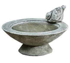 a bird is sitting on top of a bowl