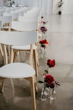 rows of white chairs with red flowers in vases on the floor next to them