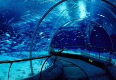 an underwater tunnel with stairs leading to the bottom