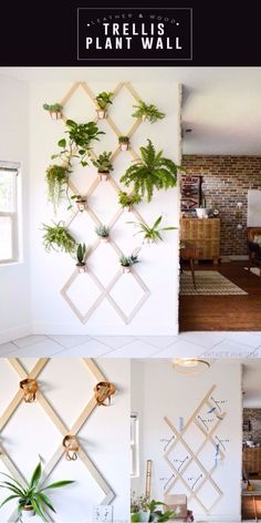 there are many plants hanging on the wall