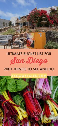 the ultimate bucket list for san diego, california's best food and drink destination