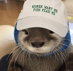 an otter wearing a hat with the words women want me fish fear me on it