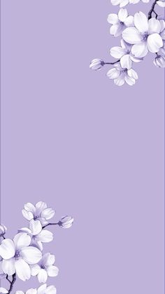 a purple background with white flowers on the top and bottom corner, along with an empty space in the middle for text