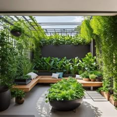 an outdoor living area with plants and benches