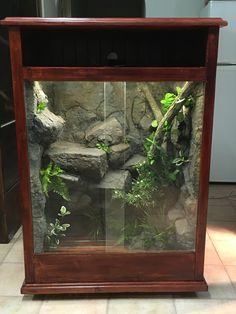 an aquarium with rocks and plants in it