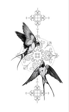 two birds flying next to each other on a white background with an ornate design in the middle