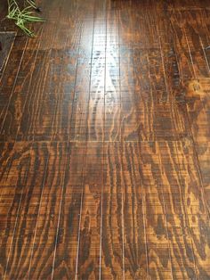 a wooden floor with some plants on it and a potted plant in the middle