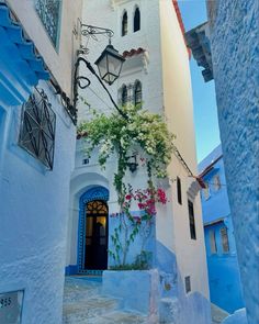 an alleyway with blue buildings and flowers growing on it