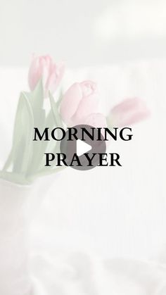 pink tulips in a white vase with the words morning prayer