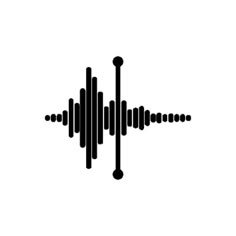 an audio wave is shown in black on a white background with the word sound written below it