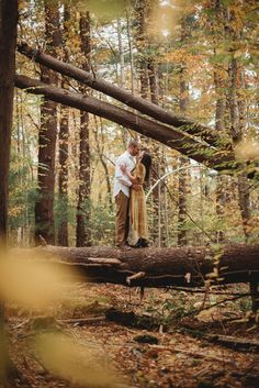 an engaged couple standing on a fallen tree in the woods