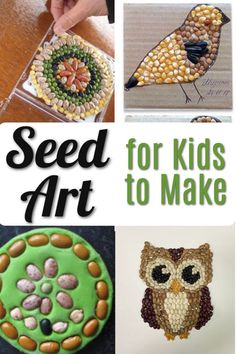 several pictures with the words seed art for kids to make