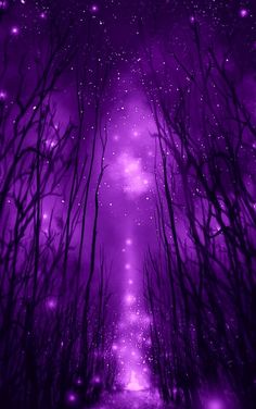 a purple forest with stars in the sky