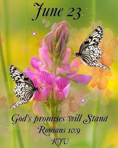 a pink flower with two butterflies on it and the words, june 23 god's promises will stand