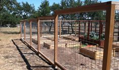 a fenced in garden area with several plants