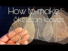 a person holding some leaves with the words how to make skeleton leaves written on them