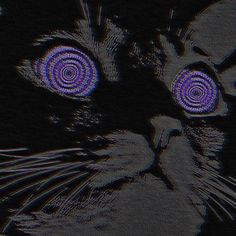 a black cat with purple circles on its eyes