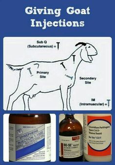 the label shows an image of a goat's coat injections and other medical supplies