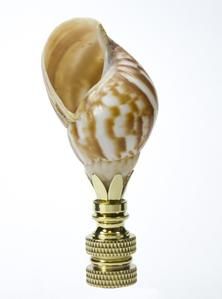 a gold and white vase sitting on top of a metal stand with a shell in it