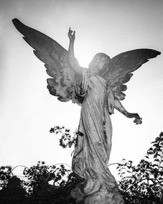 Angelic Aesthetic, Angel Sculpture, Geniale Tattoos, Cemetery Art, Angel Aesthetic, Angel Statues, Greek Art, Angel Art, Sculptures & Statues