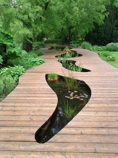 a wooden walkway with plants and water in it