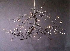 a tree with lights hanging from it's branches