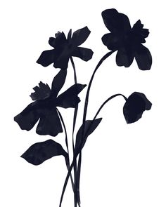 three black flowers on a white background