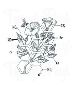 an image of flowers and leaves in the shape of hexagonals on a white background