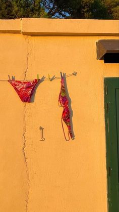 two bikinis hanging on clothesline next to yellow wall with green door and trees in background