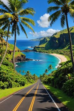 the road is lined with palm trees on both sides and blue water in the background