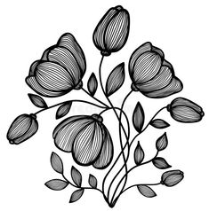 black and white drawing of flowers on a white background stock photo, images and royalty